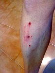 DSC00357.jpg