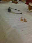 Imagen0051.jpg