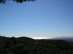 P1011915.jpg