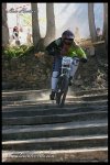 IMG_0960.jpg