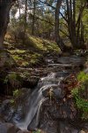 091109-tiemblo034.jpg