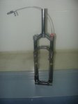 DSC02240.jpg