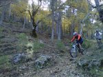 IMG00075-20101023-1318.jpg