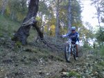 IMG00078-20101023-1319.jpg