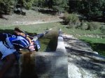 IMG00067-20101023-1204.jpg