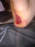 24102010047.jpg