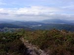 DSC00172.jpg