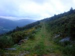 DSC00121.jpg