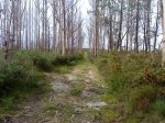 DSC00115.jpg