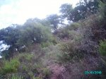 IMGP0141.jpg