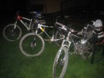 camino 037.jpg
