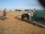camino 045.jpg
