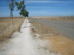 camino 208.jpg