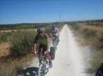camino 321.jpg
