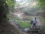 camino 388.jpg