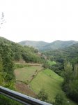 camino 502.jpg