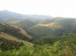 camino 549.jpg
