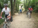 camino 608.jpg
