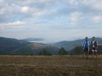 camino 557.jpg