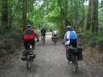 camino 709.jpg