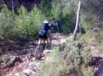 16102010503.jpg