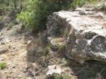 IMG_3049.jpg