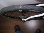 DSCN3679.jpg