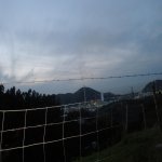 petronora.jpg