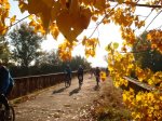 DSC08293.JPG