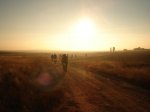 DSC08238.JPG