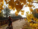 DSC08294.JPG