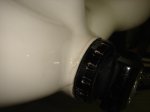 DSC07469_800x600.jpg