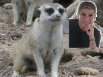 lemur y PR.JPG