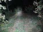 lineas r2.JPG