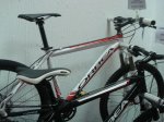 DSC01687.jpg