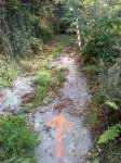 DSC09589.jpg