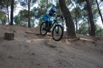 DSC_0187.jpg