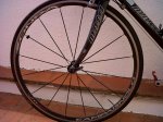 IMG00045-20101025-1349.jpg
