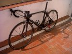 IMG00042-20101025-1345.jpg