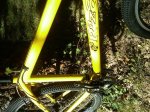IMG00196-20101017-1302.jpg