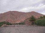 SANY0485.jpg