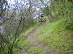 DSCN1531.jpg