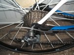 DSCF8047.JPG