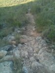 IMAG0390.jpg