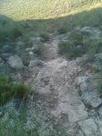 IMAG0391.jpg