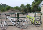DSC05162r.JPG