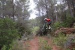 entreno wc 100.jpg