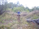 SDC10060.jpg