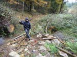 DSC00336.jpg