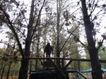 DSC00355.jpg